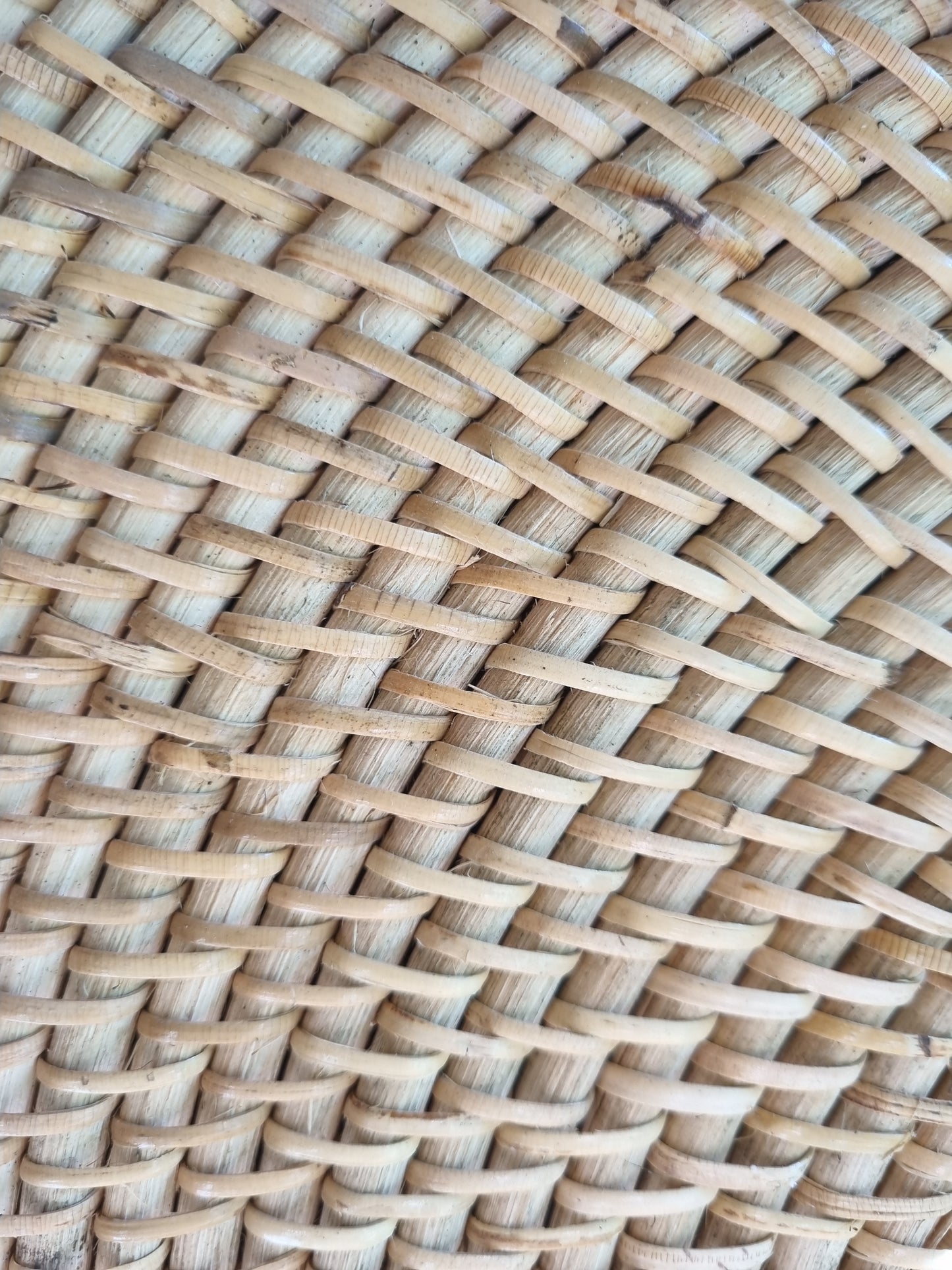 Plato de Pared Rattan 50 cm