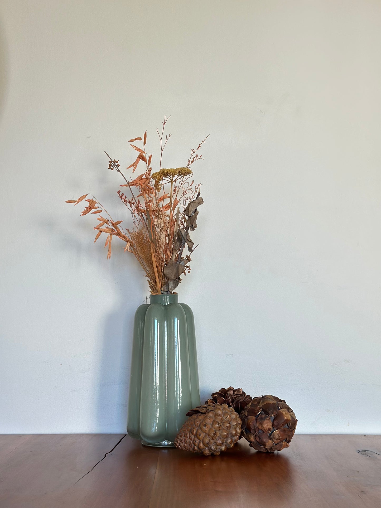 Florero cactus