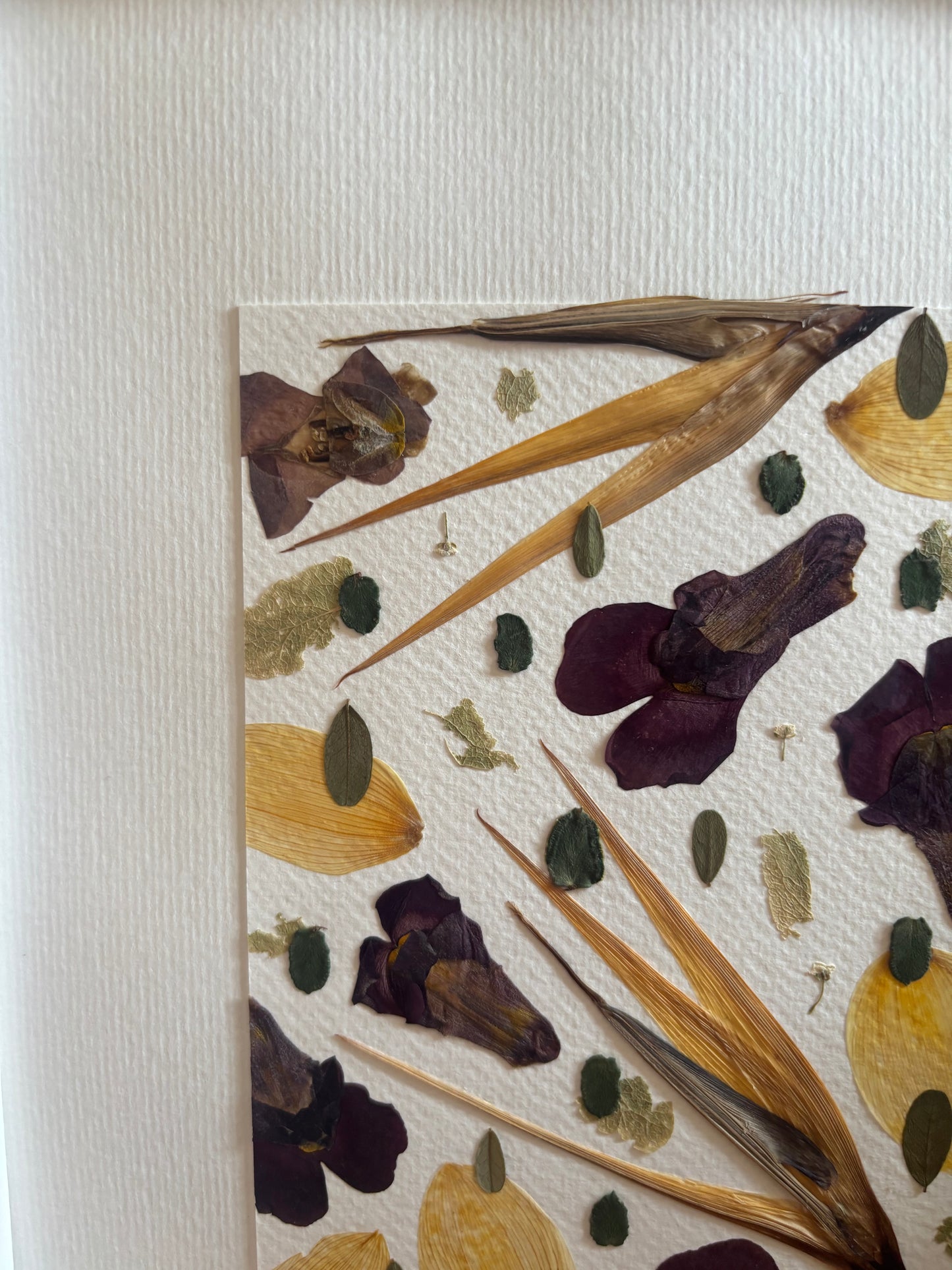 Cuadro botánico Lujo Silencioso